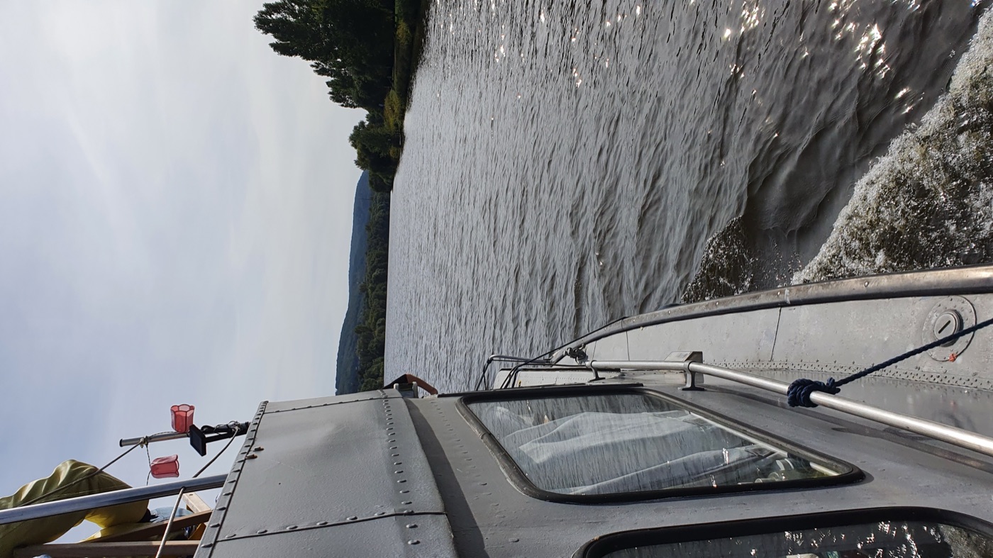Cruising down the river